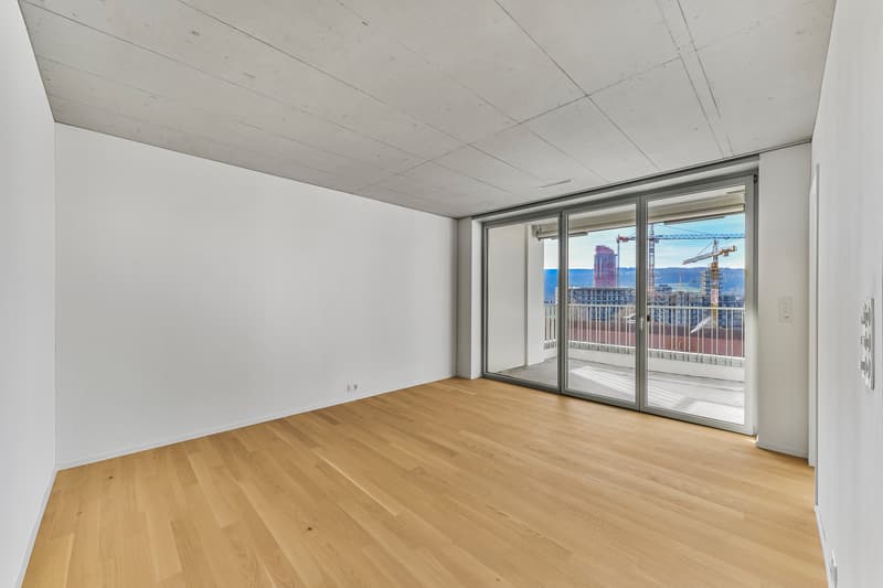 Apartment in the Zwicky Area (4)