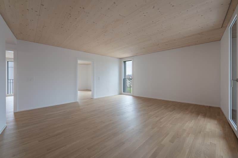 Apartment in an idyllic location on Pfannenstiel and Greifensee (4)