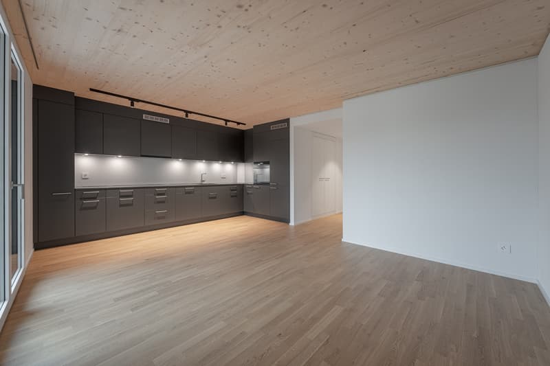 Apartment in an idyllic location on Pfannenstiel and Greifensee (3)