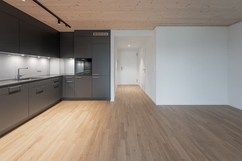 Apartment in an idyllic location on Pfannenstiel and Greifensee (2)