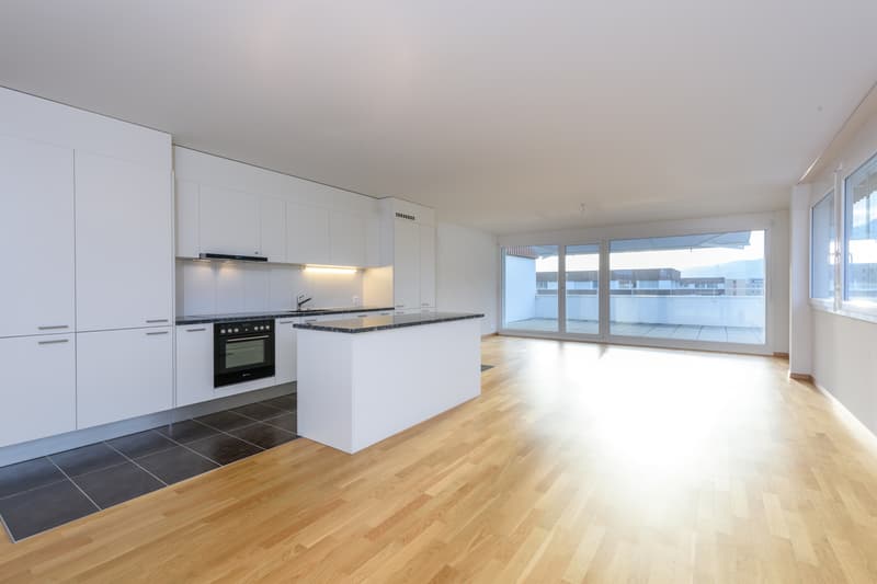 Splendid attic apartment (3)