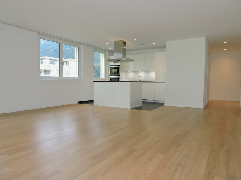 Moderne Wohnung mit grossem Balkon am Fusse der Rigi (5)