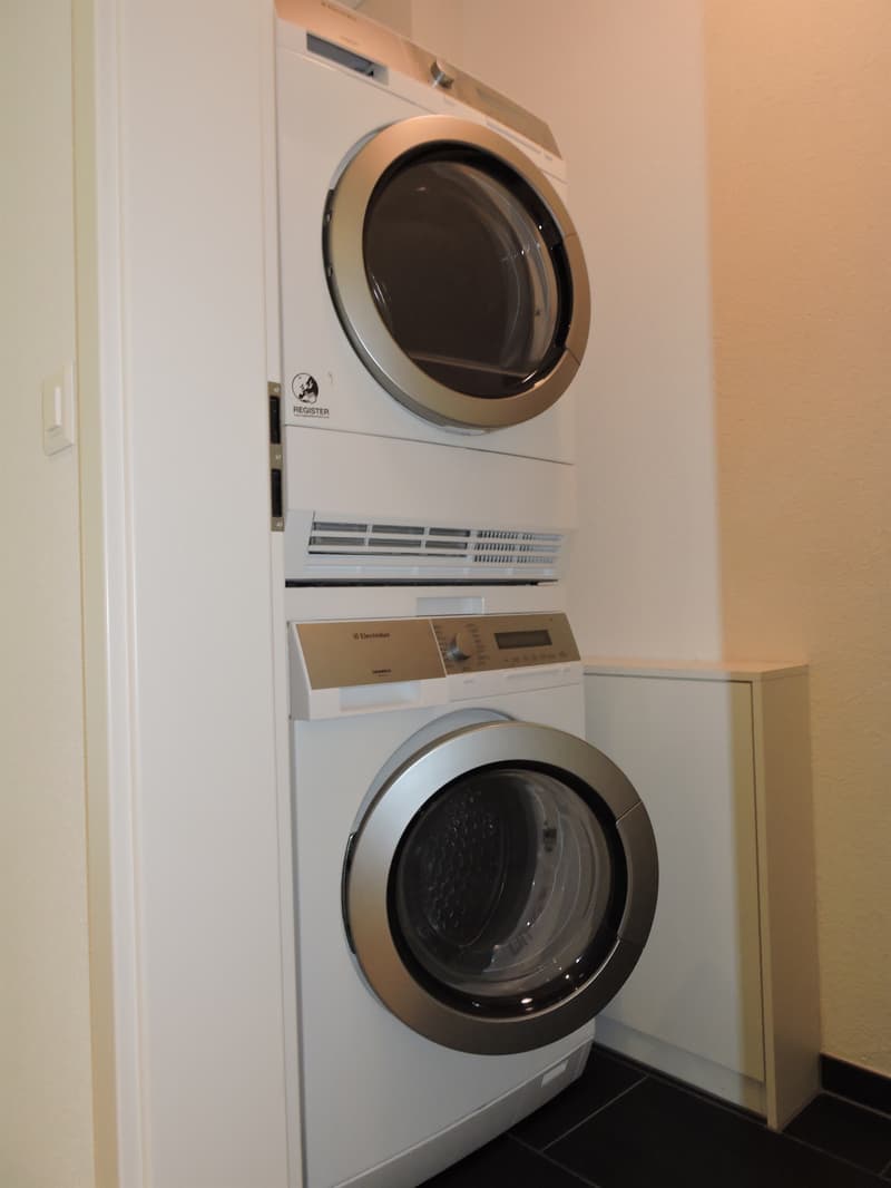 Moderne Wohnung mit grossem Balkon am Fusse der Rigi (12)