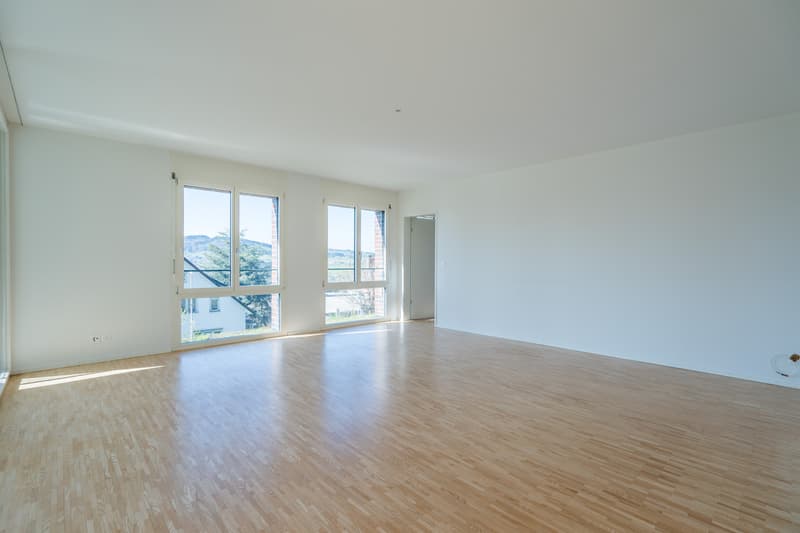 Appartement familial de rêve à Rosenbüchel (7)