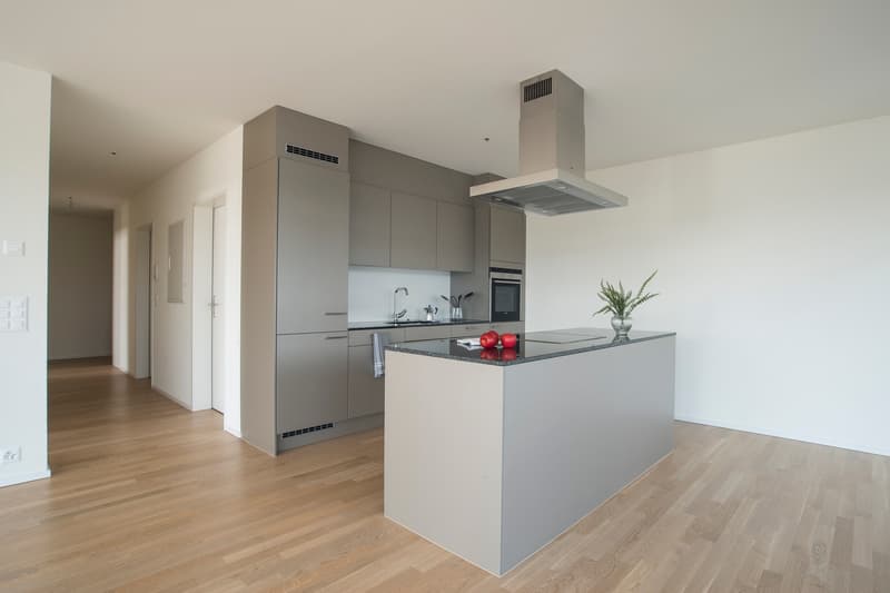Living in the Green - We have your new home! (2)