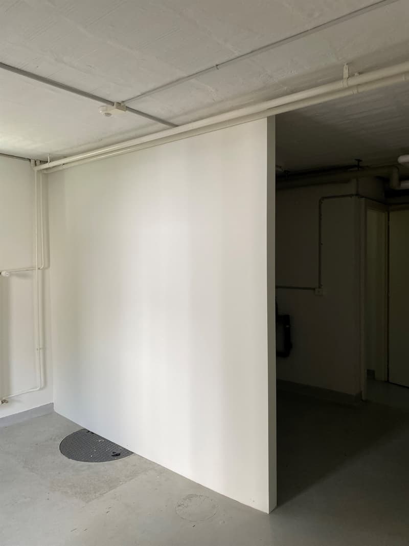 Emplacement central, animé pour commerce calme (2)