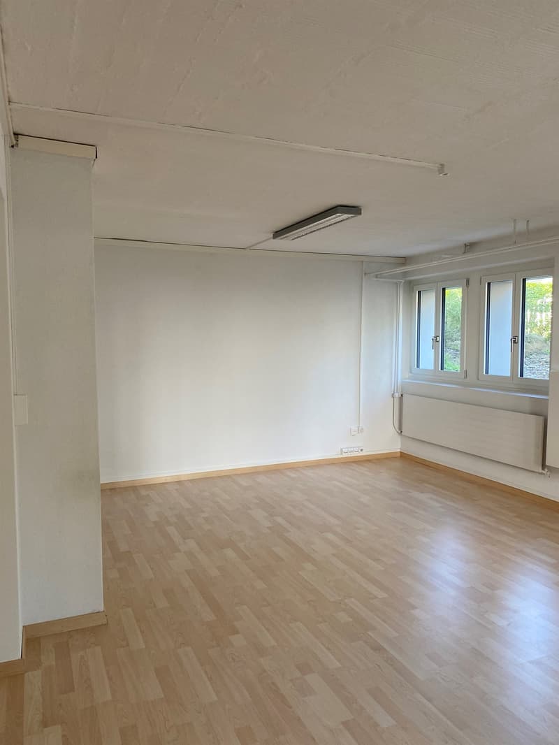 Emplacement central, animé pour commerce calme (4)