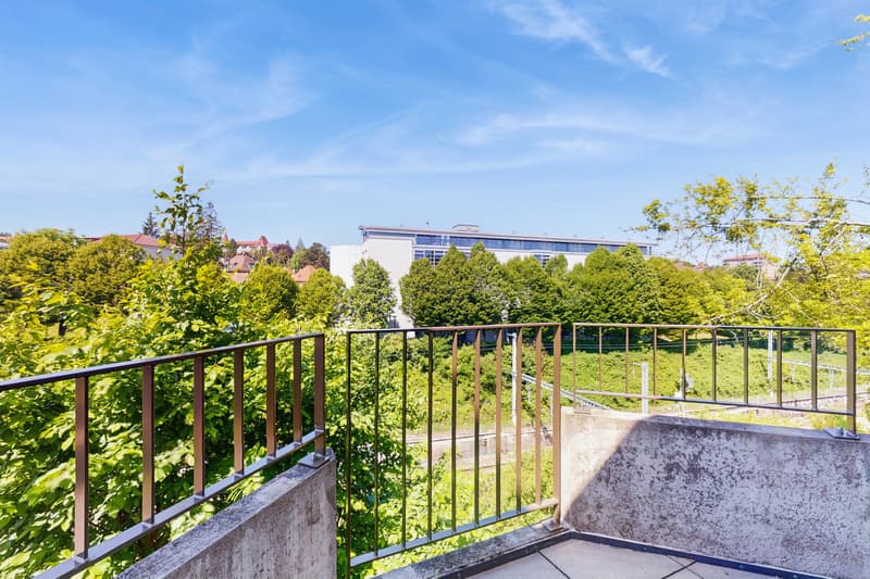 Renovated apartments in Fribourg (8)