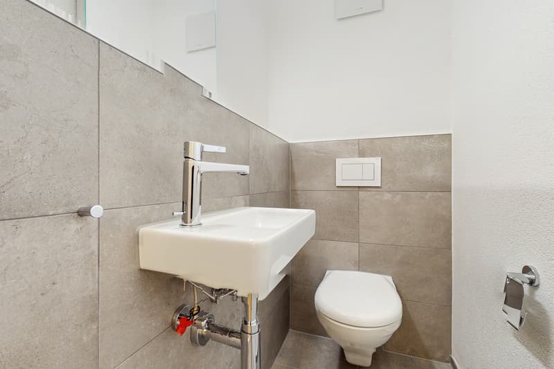 Appartements rénovés à Fribourg (7)