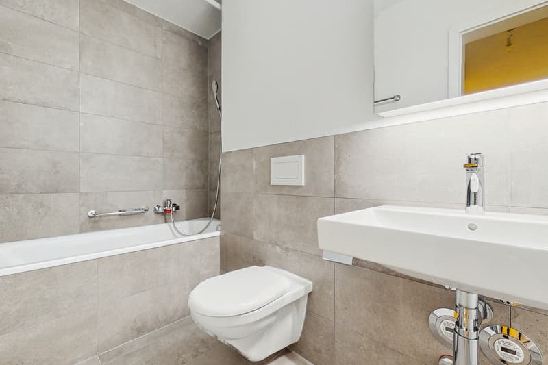 Renovated apartments in Fribourg (6)