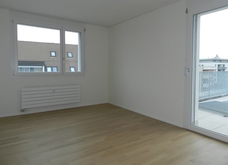 Appartamento in mansarda con grande terrazza! (3)