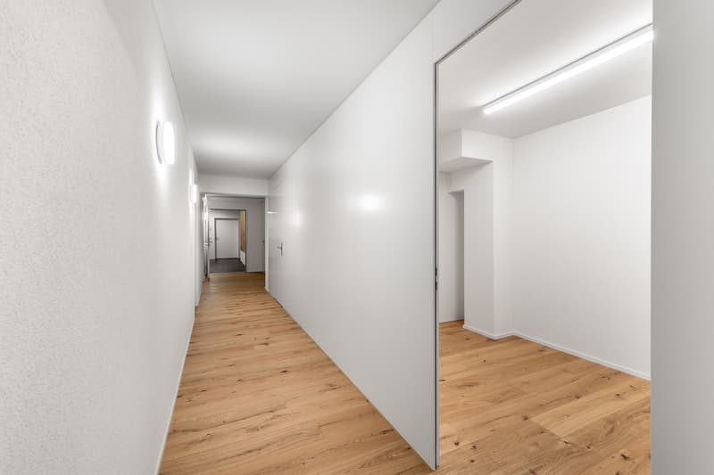 Plug & Play su Zürichstrasse (9)