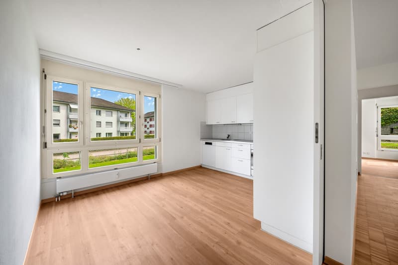 Sunny apartment in Wetzikon ZH - Rent without deposit! (6)