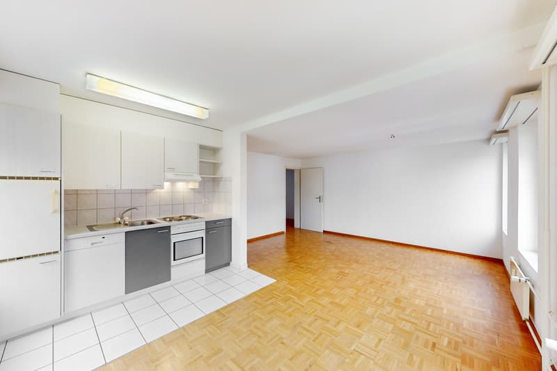 Spacious single apartment (2)
