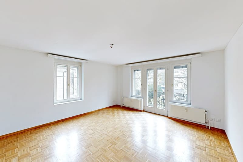 Spacious single apartment (5)