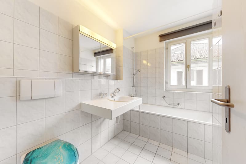 Spacious single apartment (4)