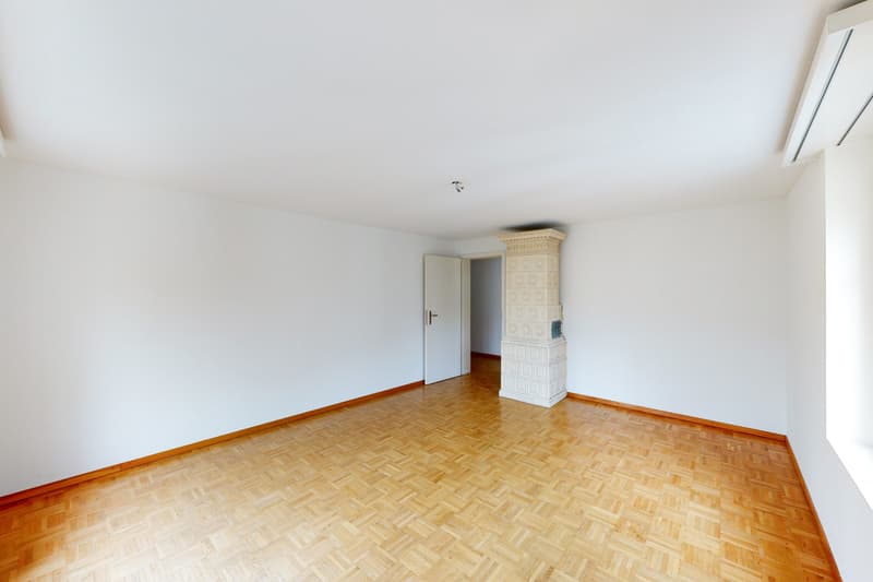 Spacious single apartment (6)