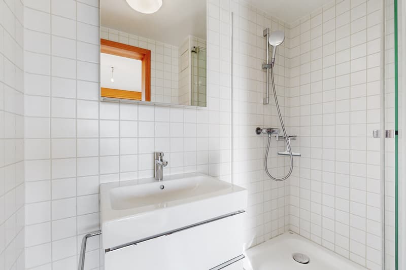 A new ideal place to live! (11)
