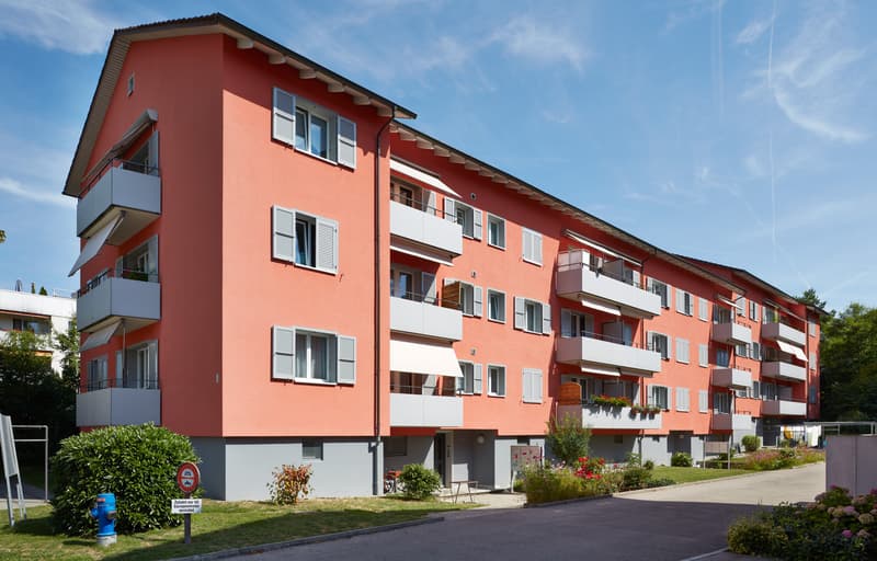 Vivere nel bel quartiere di Birch (8)