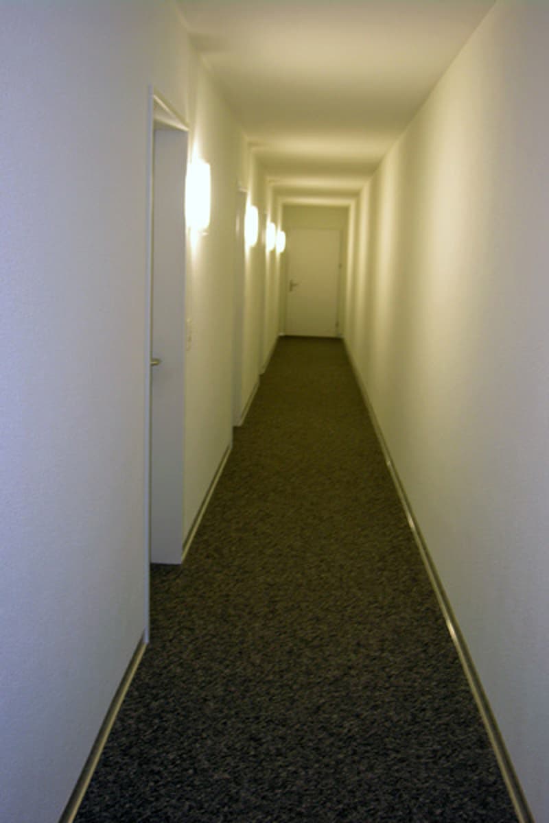 SMALL but FINE - Your new workplace in the heart of Pfäffikon SZ (4)