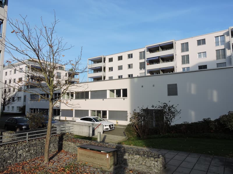 SMALL but FINE - Your new workplace in the heart of Pfäffikon SZ (1)