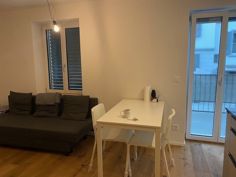 Gemütliche Singlewohnung zu vermieten (4)