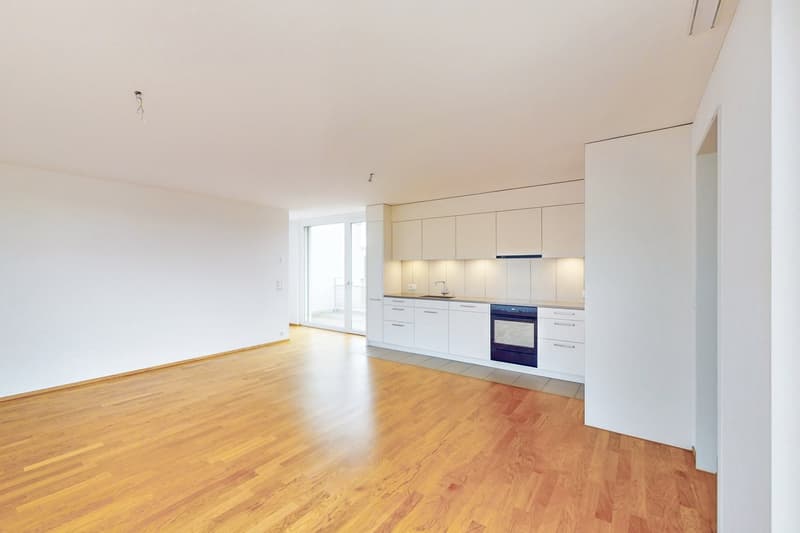 Modern Living - Altstetten (5)
