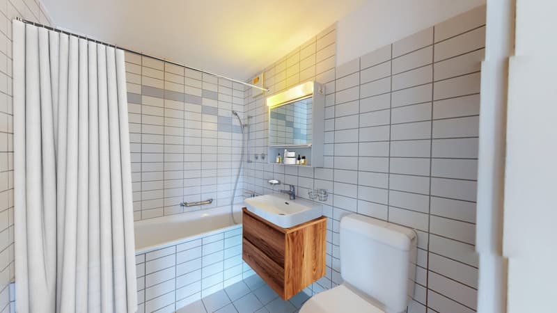 Family-friendly environment seeking subtenant from 01.08.2025! (7)