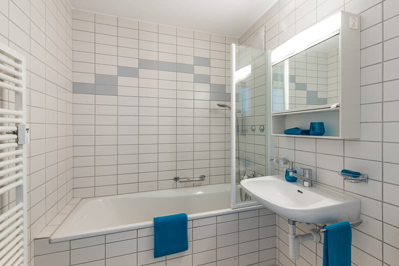 Family-friendly environment seeking subtenant from 01.08.2025! (3)