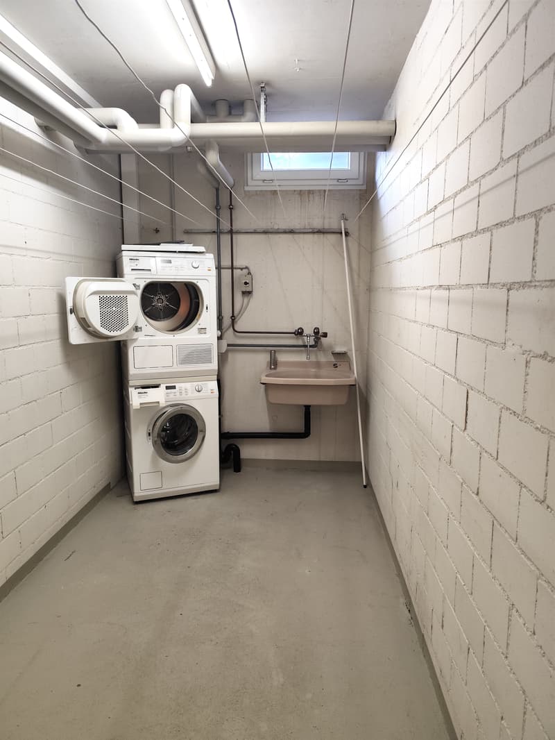 Grosszügige 4.5-Zimmerwohnung im Herzen von Birsfelden (11)