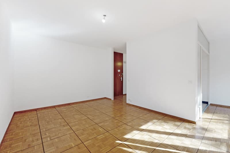 Ihr Appartement in der Nähe des Voirets-Parks! (3)