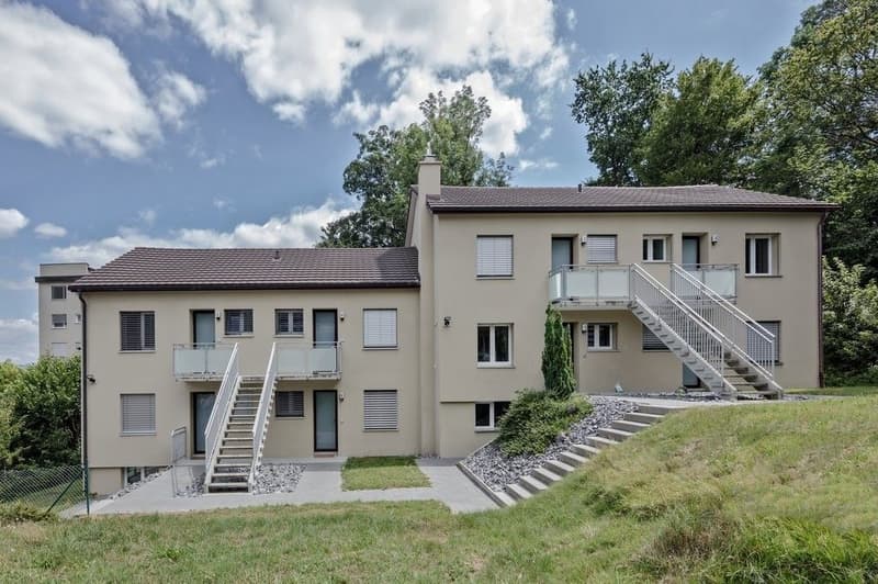 Risveglio di primavera ad Aarau (1)
