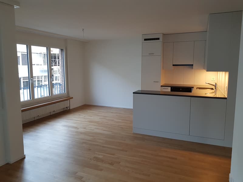 Near Oerlikon train station, central location (5)