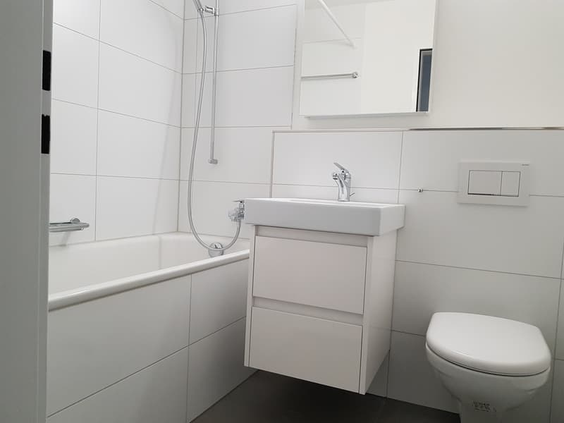 Near Oerlikon train station, central location (6)