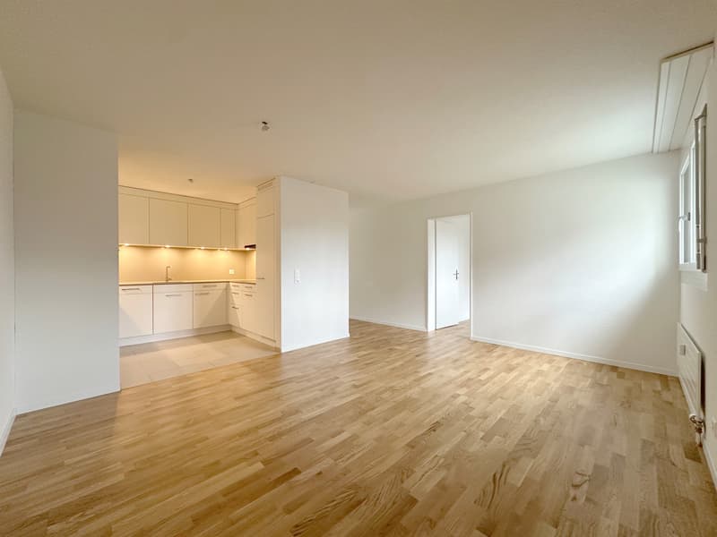 Spacious family apartment in a green environment (3)