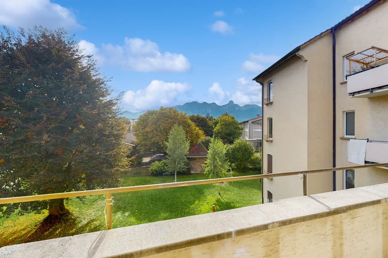 Nouveau bonheur de vivre à Thun recherché ? (7)
