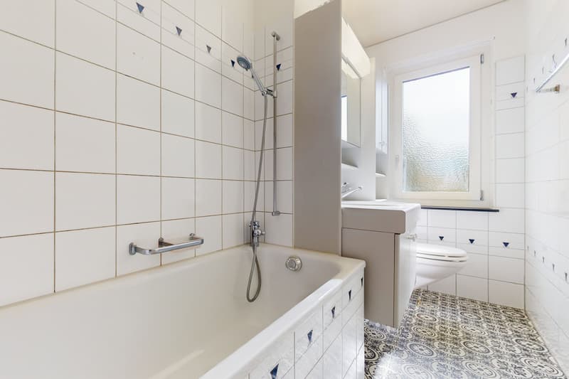 Nouveau bonheur de vivre à Thun recherché ? (6)