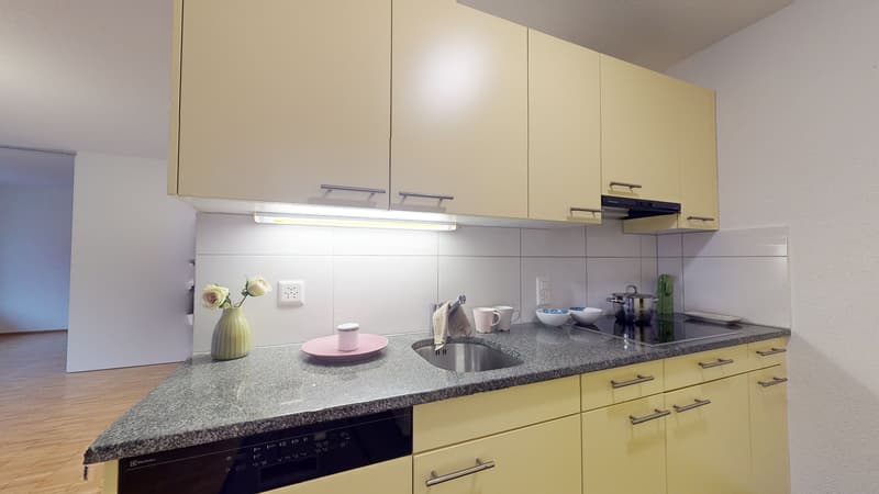 Wohnung mit Anschluss zum Garten in praktischer Lage (3)