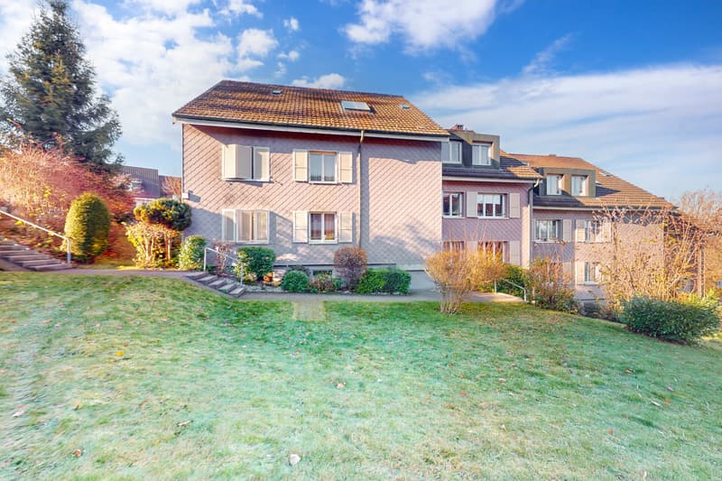 Delizioso appartamento mansardato con camino (1)