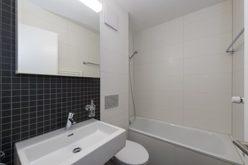Appartement 4.5 pièces dans un environnement verdoyant et directement au bord de la forêt (5)