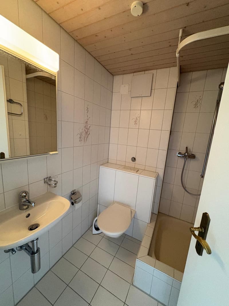 Central 4-room apartment in Burgdorf! (3)