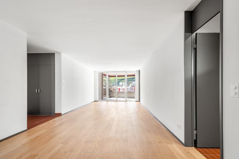 Your new feel-good oasis directly on the Sihl! (4)