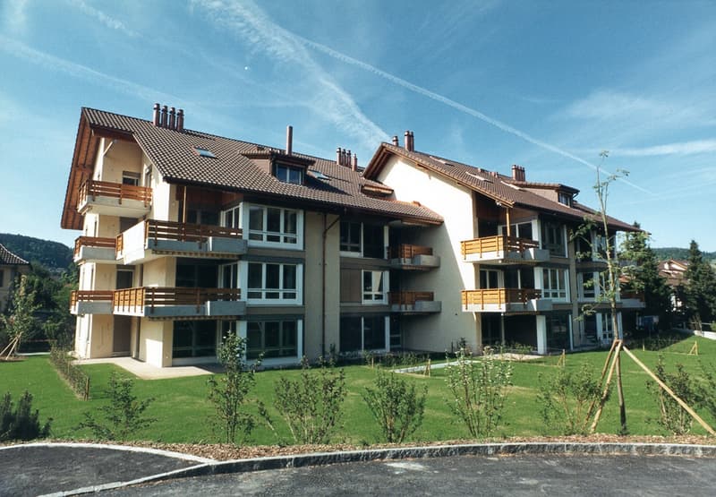 Abitare idillico in un ambiente verde con ottimi collegamenti di trasporto (1)