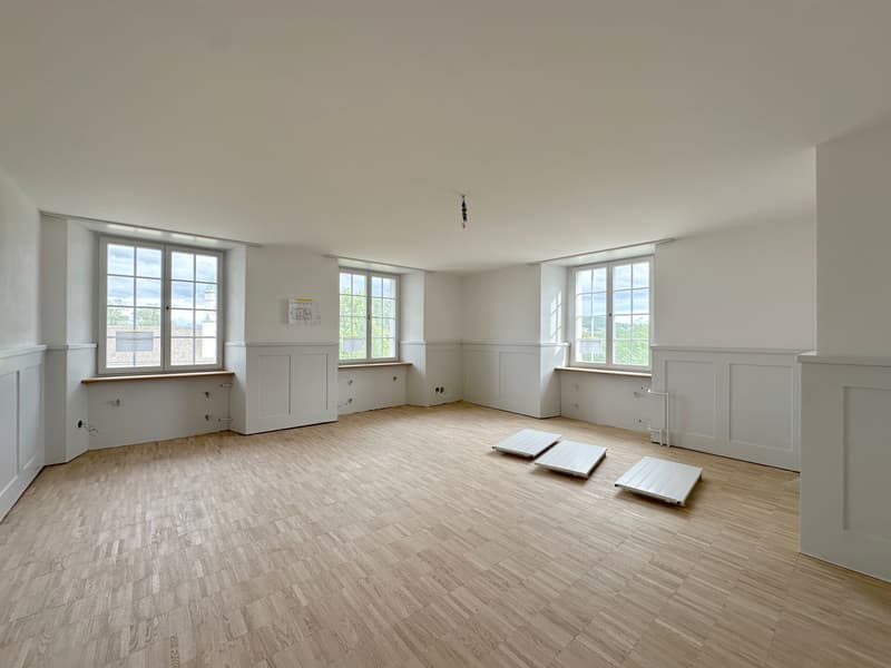 Dream Home Maisonette in the historic MEIERHOF! (4)