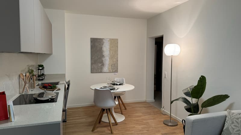 Maison Cinq avec confort moderne au cœur de Locarno (4)
