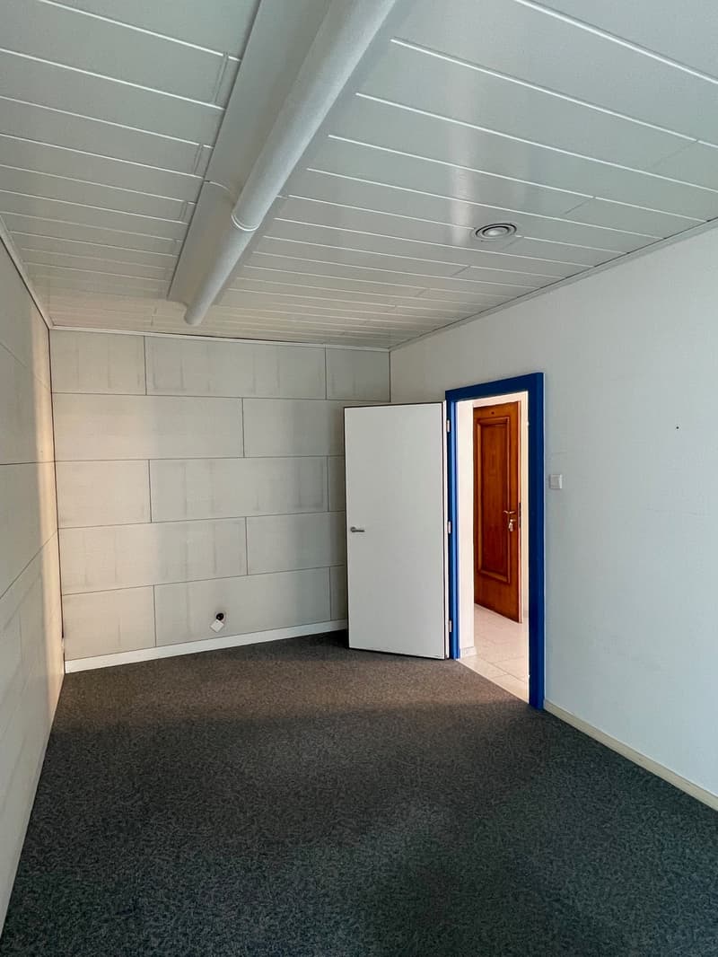 IL TUO LOCALE COMMERCIALE IN PIENO CENTRO A BELLINZONA (6)