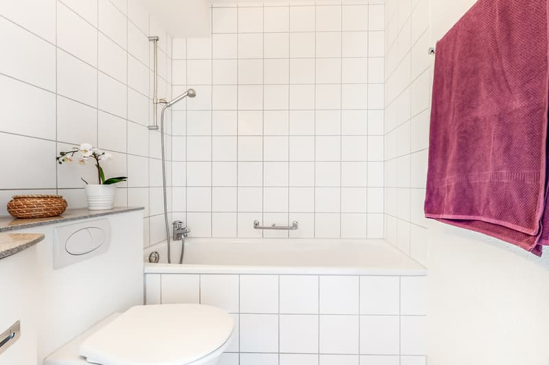 Wir haben die perfekte Single-Wohnung für Sie! (6)