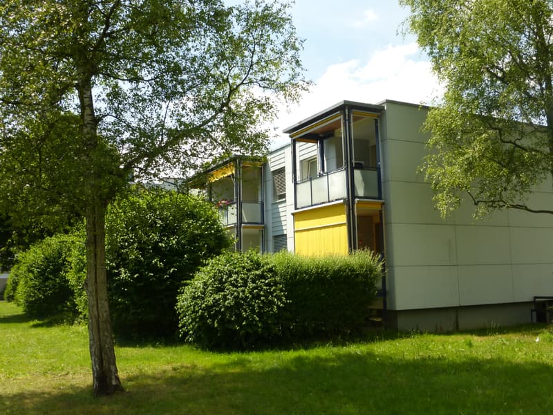 Wir haben die perfekte Single-Wohnung für Sie! (8)