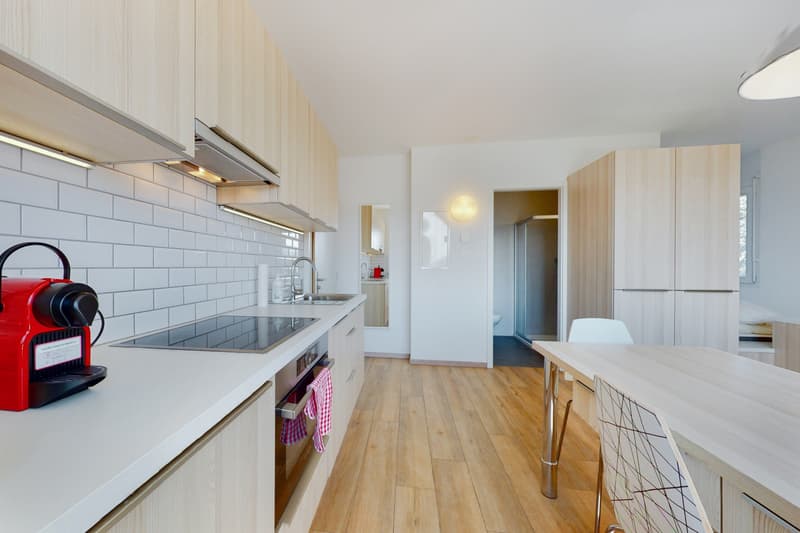 Ihr Apartment in Bussigny! (4)