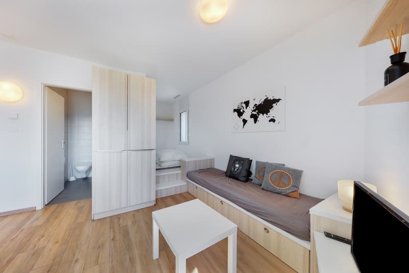 Ihr Apartment in Bussigny! (7)
